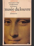 Musée du louvre - náhled