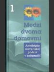Medzi dvoma domovmi 1 - náhled