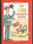 Vyše 1300 anglických slovíčok - náhled