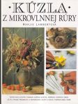 Kúzla z mikrovlnnej rúry (veľký formát) - náhled