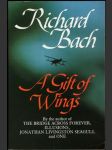 A City of Wings - náhled