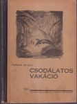 Csodálatos vakáció - náhled