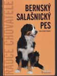 Bernský salašnicky pes - náhled