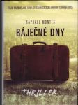 Báječné dny - náhled
