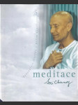 Meditace Dokonalost člověka - náhled