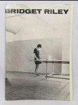 Bridget Riley: Obrazy z let 1951-1971 - náhled