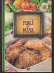 Babičkine jedlá bez mäsa - náhled