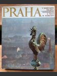 Praha v barevném reliéfu (veľký formát) - náhled
