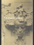 V mužském mozku - náhled