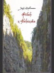 Príbeh z Abcházska - náhled