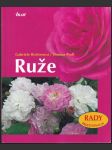 Ruže richterová - náhled