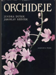 Orchideje (veľký formát) - náhled