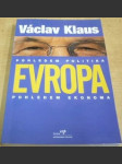 Evropa. Pohledem politika. Pohledem ekonoma - náhled