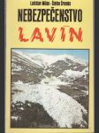 Nebezpečenstvo lavín - náhled