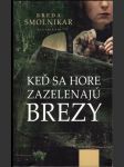 Keď sa hore zazelenajú brezy - náhled