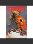 Conan a dračí studna - náhled