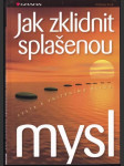 Jak zklidnit splašenou mysl - náhled
