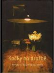 Kočky na dražbě - náhled