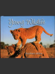 Young Wildlife - Southern Africa (malý formát) - náhled