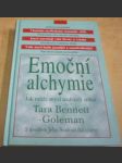 Emoční alchymie - náhled