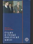 Úvahy o české politické krizi - náhled