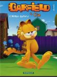 Garfieldova show 3. davis jim - náhled