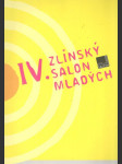 IV. Zlínský salon mladých - náhled