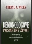 Posmrtný život  wicks cheryl a. - náhled