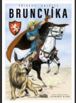 Příběhy knížete bruncvíka bican vladimír - náhled