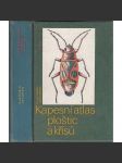 Kapesní atlas ploštic a křísů - náhled
