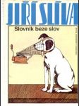 Slovník beze slov - náhled
