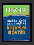 Anglicko-český a česko-anglický kapesní slovník - náhled
