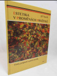 Estetika v proměnách prožitků: Cesty, propasti a pasti estetiky - náhled