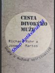 Cesta divokého muže - úvahy o mužské spiritualitě - martos joseph/ rohr richard - náhled