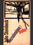 Neznámému bohu - náhled