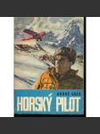 Horský pilot [Kniha o švýcarském horském letci Hermannu Geigerovi; letectví, záchranářství, Alpy, obálka Zdeněk Burian] - náhled