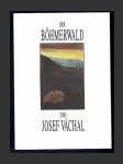 Der Böhmerwald und Josef Váchal - náhled