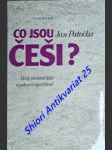 Co jsou češi ? was sind die tschechen ? malý přehled fakt a pokus o vysvětlení - patočka jan - náhled