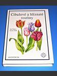 Cibulové a hlíznaté rostliny - náhled