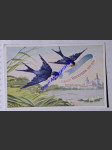 VRBA V. - PRAHA Břevnovský klášter Jubileum Vincentina 1889-1939 - náhled