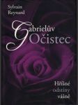 Gabrielův očistec (Hříšné odstíny vášně II.) - náhled