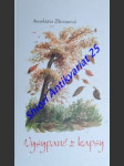 Vysypané z kapsy - zboranová anastázia - náhled