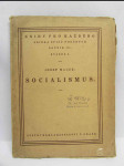 Socialismus - náhled