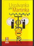 Uspávanka pre Martinka - náhled