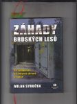Záhady Brdských lesů (od vykopávek po jaderné zbraně a radar) - náhled