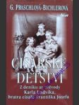Císařské dětství: z deníku arcivévody karla ludvíka, bratra císaře františka josefa - praschl-bichlerová gabriele - náhled