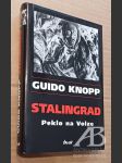 Stalingrad Peklo na Volze - náhled