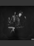 The strange case of... (clear vinyl) halestorm - náhled