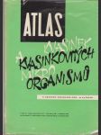 Atlas kvasinek a kvasinkovitých mikroorganismů - náhled