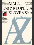 Malá encyklopédia Slovenska (veľký formát) - náhled